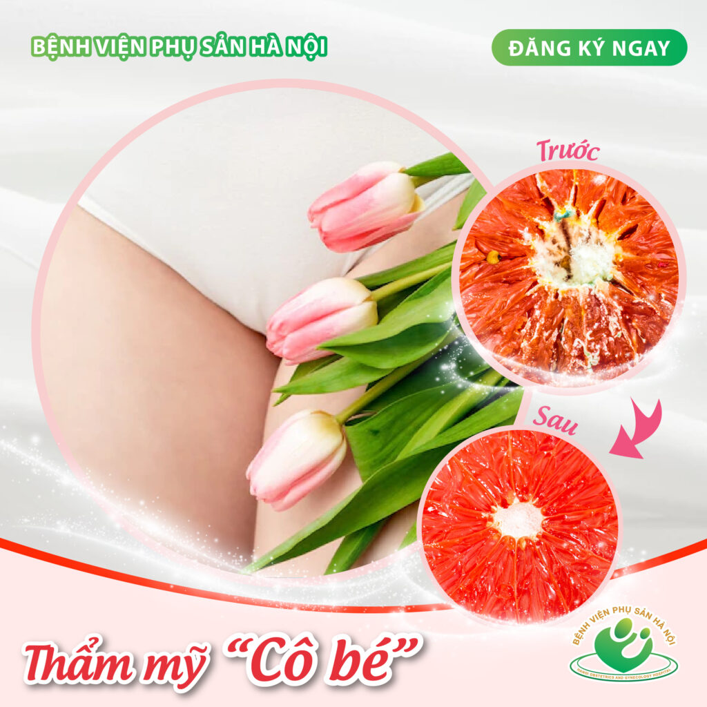 THẨM MỸ TẦNG SINH MÔN